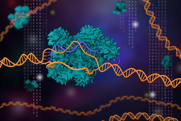 What Do the Next Ten Years Hold for CRISPR?